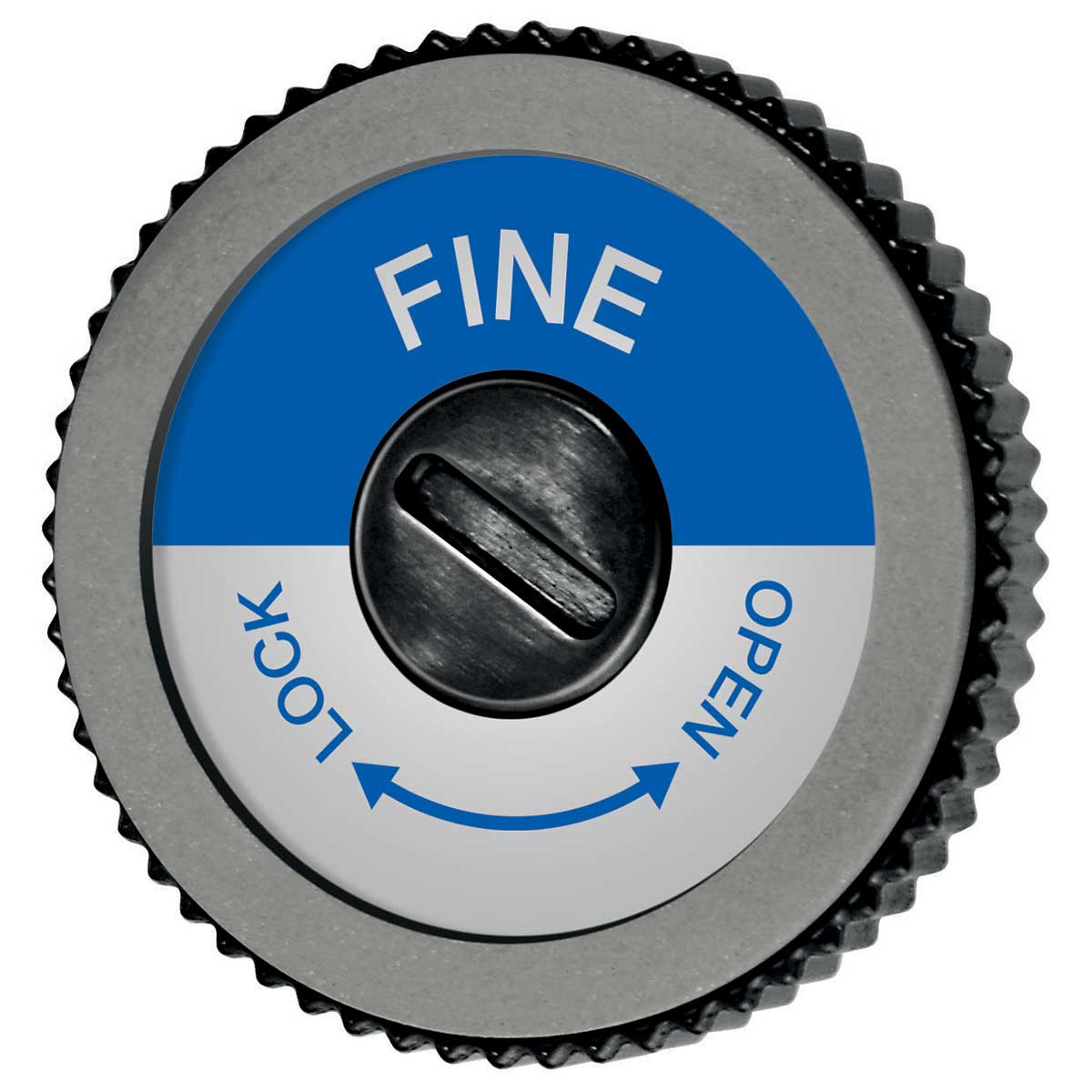 Swix EVO Spare Disc in Fine